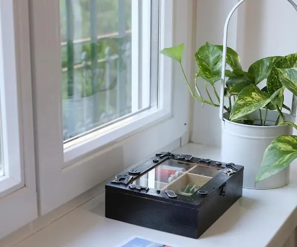 Decor Apartment Erlau